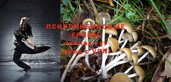 стафф Беломорск