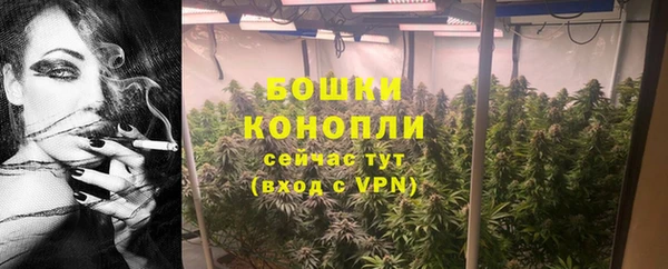 дурь Белокуриха
