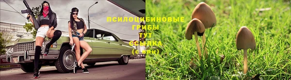 марихуана Белоозёрский