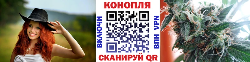 Конопля VHQ  блэк спрут как войти  Старый Оскол 